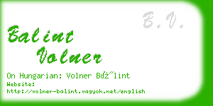 balint volner business card